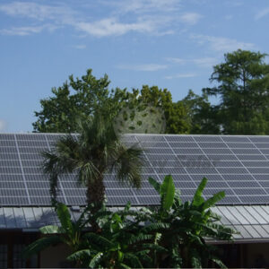 Largest Solar installation in the history of Gainesville!