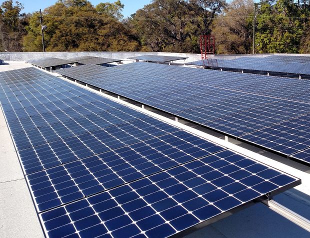 Long rows of large solar panels.